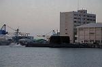 Dcim5369/DSC_8683