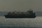 Dcim5370/DSC_8668