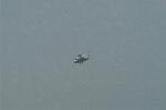 Dcim5370/DSC_8725