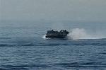 Dcim5372/DSC_8954