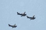 Dcim5373/DSC_9024