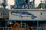 Dcim5376/DSC_9463