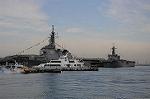 Dcim5378/DSC_8731
