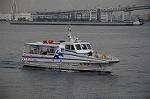 Dcim5379/DSC_8867