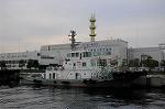 Dcim5381/DSC_9174
