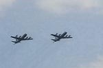 Dcim5390/DSC_0065