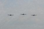 Dcim5391/DSC_0147