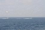 Dcim5394/DSC_0318