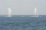 Dcim5394/DSC_0324