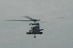 Dcim5398/DSC_9644
