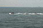 Dcim5402/DSC_9197