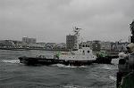 Dcim5417/DSC_1955