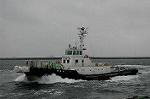 Dcim5417/DSC_1964