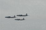Dcim5431/DSC_9480