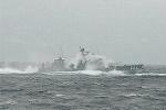 Dcim5432/DSC_9528