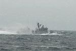 Dcim5432/DSC_9530