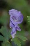 Dcim5434/DSC_9405