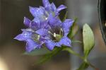 Dcim5434/DSC_9417
