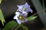 Dcim5434/DSC_9420