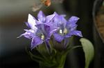 Dcim5434/DSC_9429