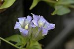 Dcim5434/DSC_9439