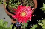 Dcim5434/DSC_9480
