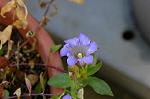 Dcim5434/DSC_9504