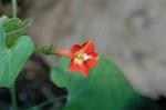 Dcim5435/DSC_9617