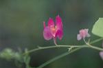 Dcim5438/DSC_9924