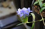 Dcim5439/DSC_2671