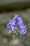 Dcim5440/DSC_0010