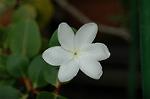 Dcim5441/DSC_0165