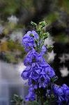 Dcim5443/DSC_2995