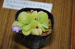 Dcim5447/DSC_3378