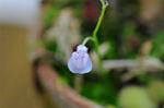 Dcim5449/DSC_3646