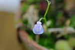 Dcim5449/DSC_3647