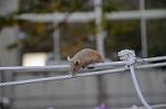 Dcim5452/DSC_4075