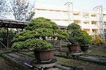 Dcim5453/DSC_4104