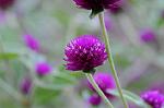 Dcim5453/DSC_4131