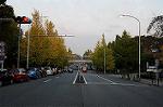 Dcim5453/DSC_4163