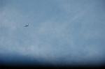 Dcim5454/DSC_0198