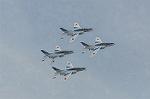 Dcim5456/DSC_4333