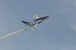 Dcim5457/DSC_4339