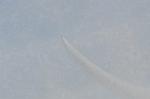 Dcim5457/DSC_4390