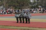 Dcim5458/DSC_4549