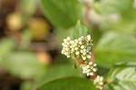 Dcim5463/DSC_0492