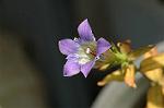 Dcim5463/DSC_0566