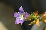 Dcim5463/DSC_0568