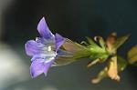 Dcim5463/DSC_0570