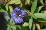 Dcim5464/DSC_0575